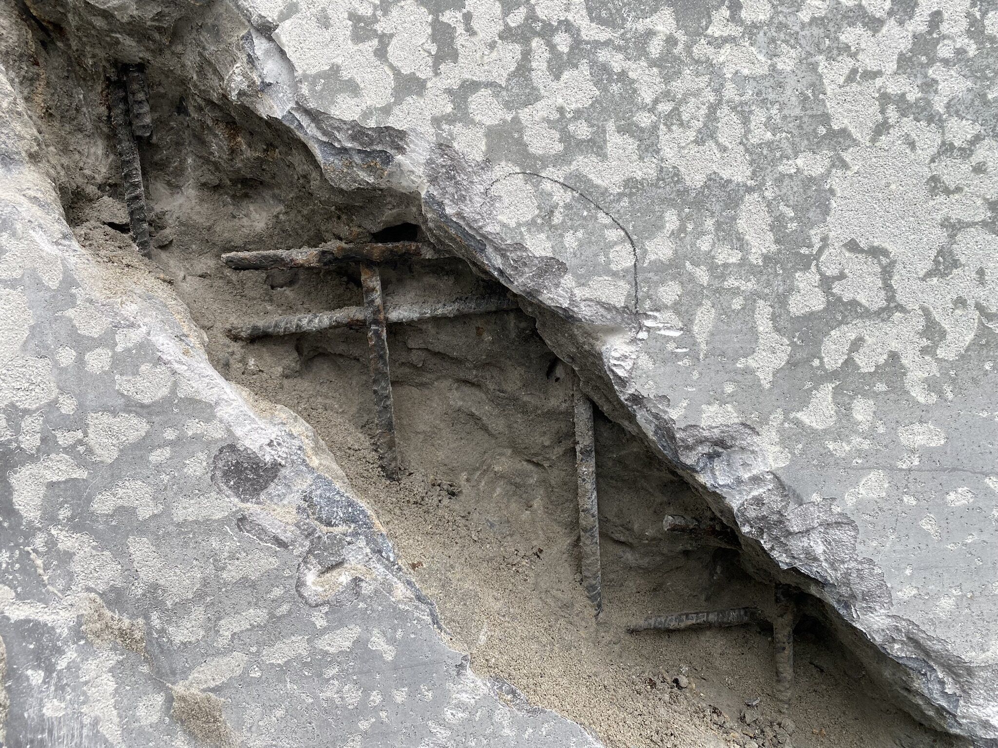 Pool renovation — project photo 13