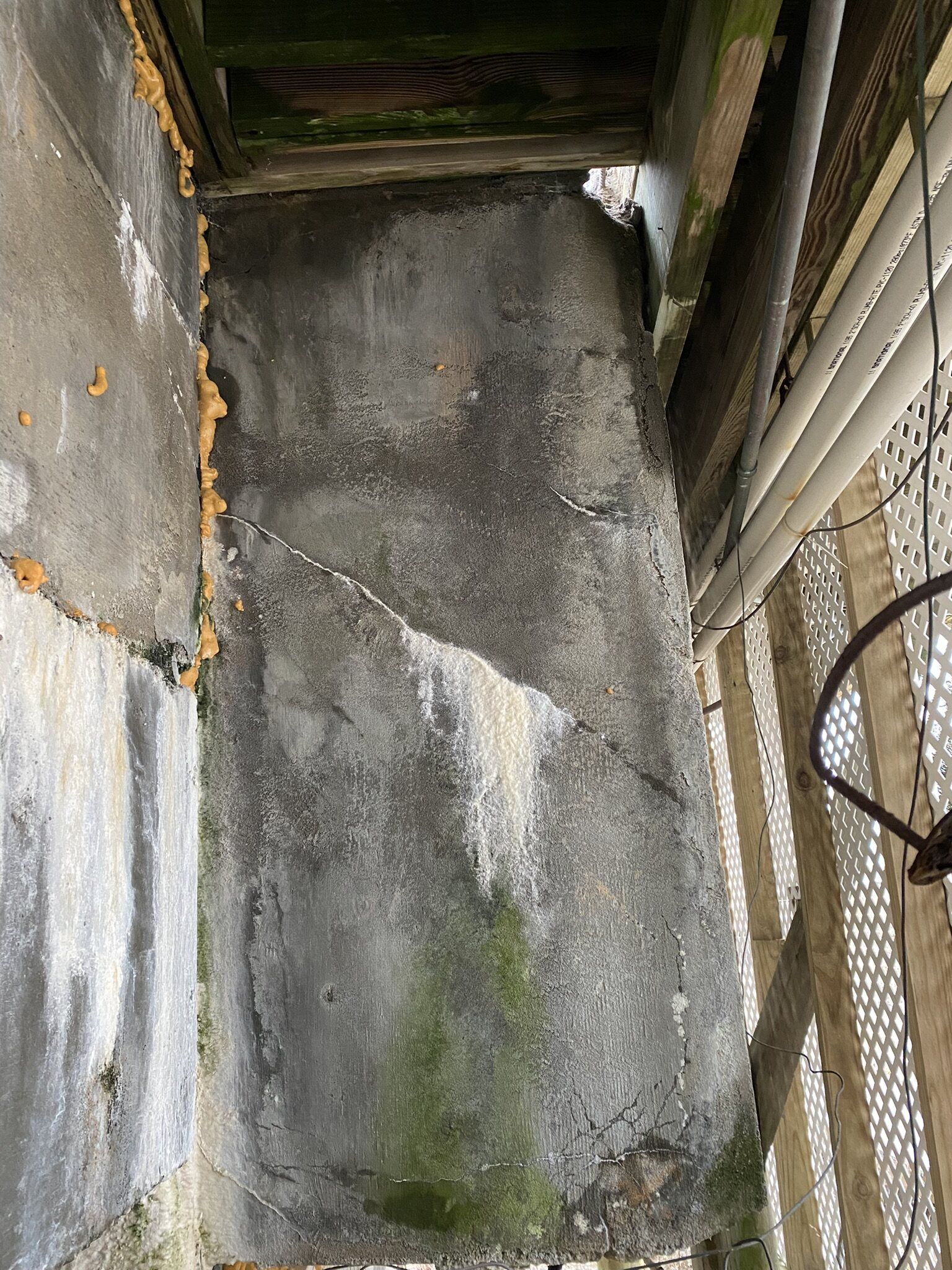 Pool renovation — project photo 12