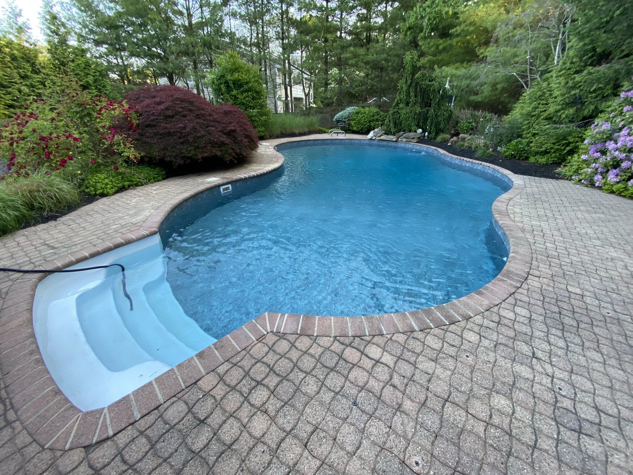 New pool — project photo 11